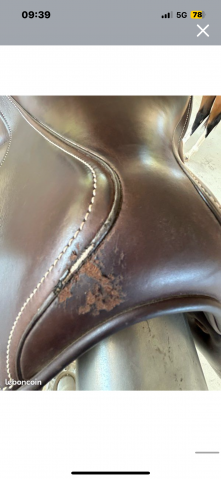 Selle forestier Séoul 