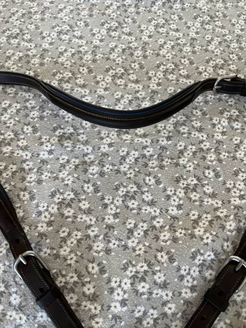 Collier de chasse CWD