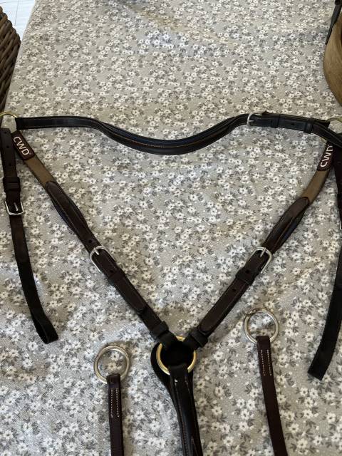 Collier de chasse CWD