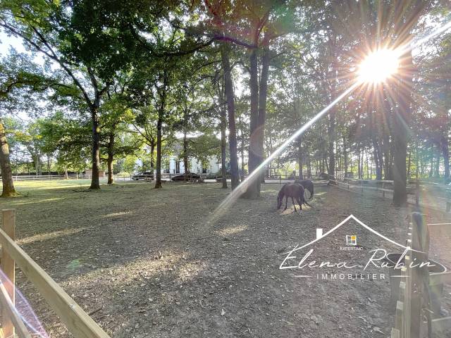 Propriété d’exception avec installation d'equestre