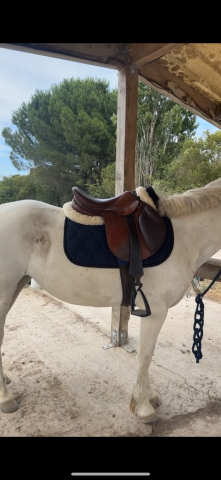 Selle Antarès connexion