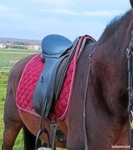 Selle Dressage Ronzon 17,5