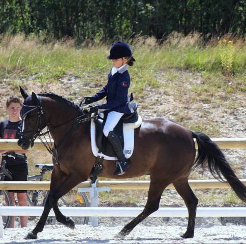 Selle Prestige v&eacute;nus