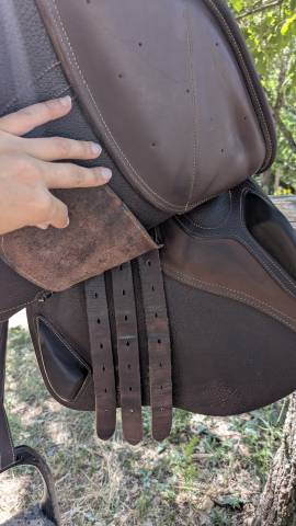 Selle ikonic evolution 