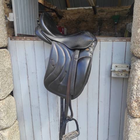 Selle dressage Eric Thomas Wien 