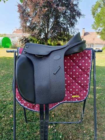 Bardette Guy Cantin Dressage 