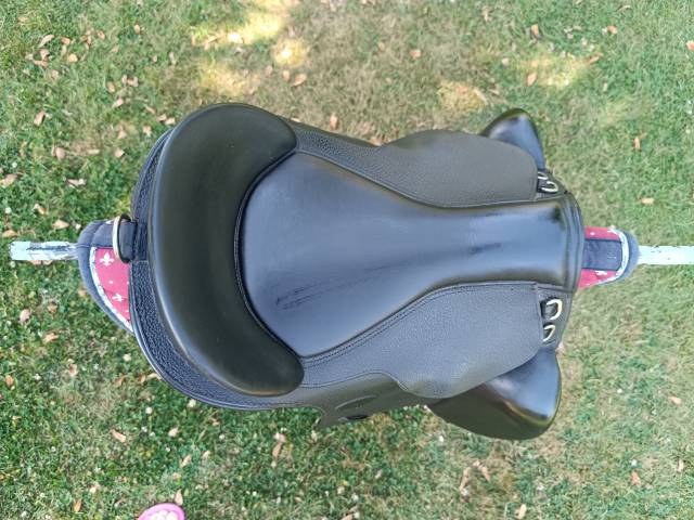 Bardette Guy Cantin Dressage 