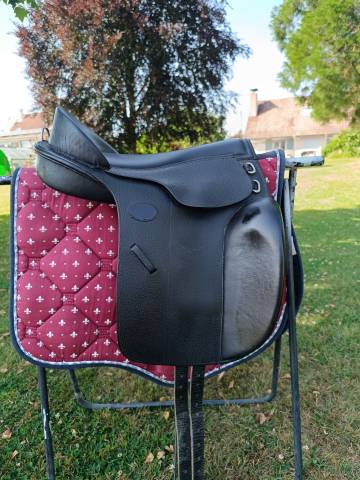 Bardette Guy Cantin Dressage 