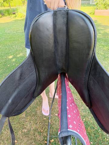 Bardette Guy Cantin Dressage 