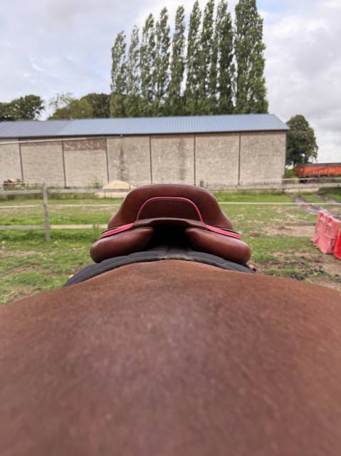 SELLE CWD SE02 2021 18p