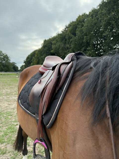 SELLE CWD SE02 2021 18p