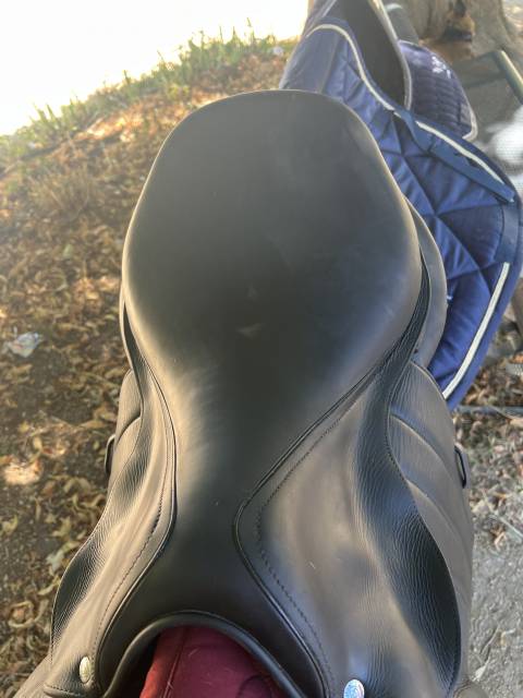 Selle forestier modèle Séoul 