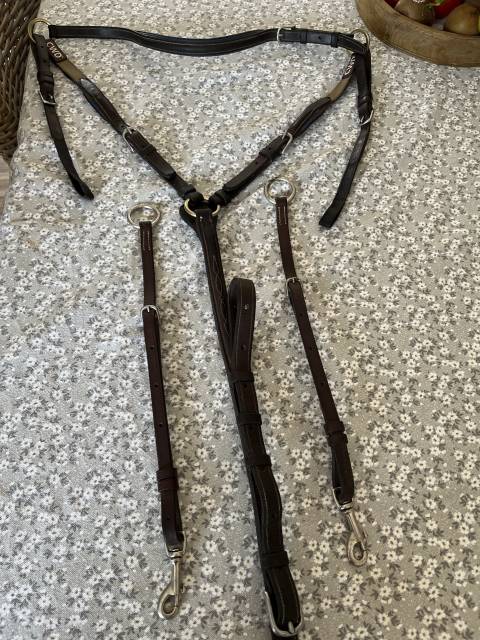 Collier de chasse cwd poney