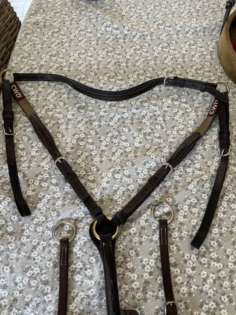 Collier de chasse cwd poney