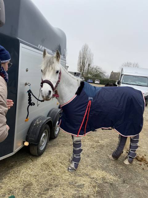Couverture de box Pénélope poney