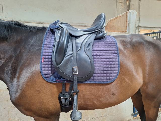 Aviar Rook 2.00 noire 17 pouces