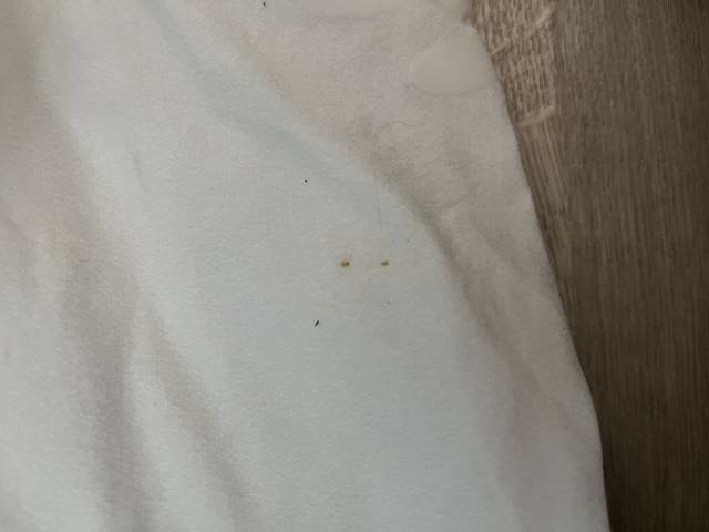 pantalons lots 3 Flags & Cup