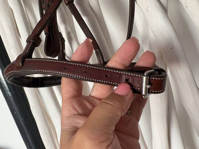 Bridon neuf penelope 