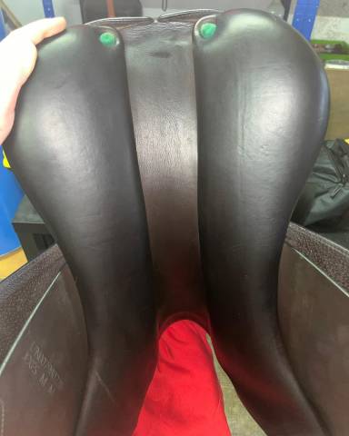 Selle de saut d'obstacles Equipe 