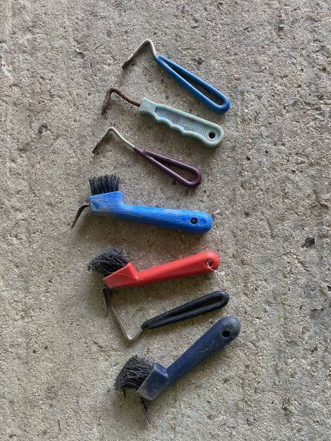 Matériel de pansage