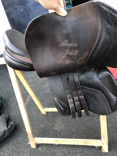 Selle obstacle Amplitude Sellerie