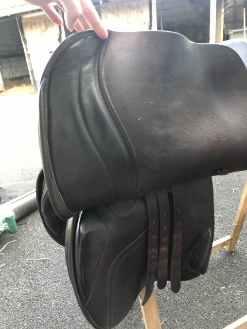 Selle obstacle Amplitude Sellerie