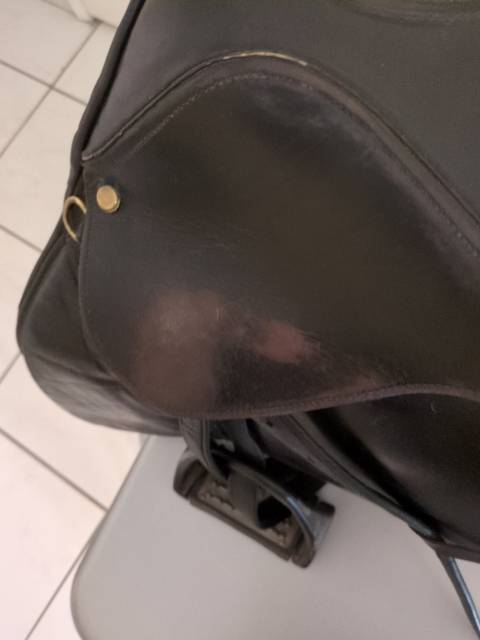 Selle mixte Norton 16,5" cuir noir + étriers réglables