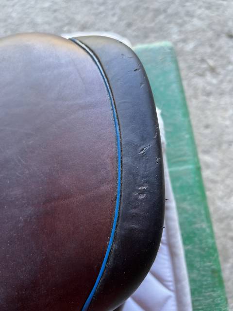 Selle 2gs CWD