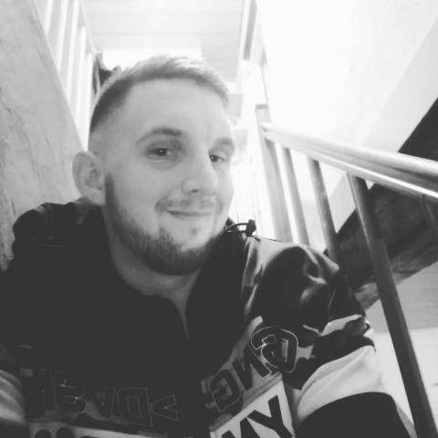 Recherche emploi palefrenier soigneur 