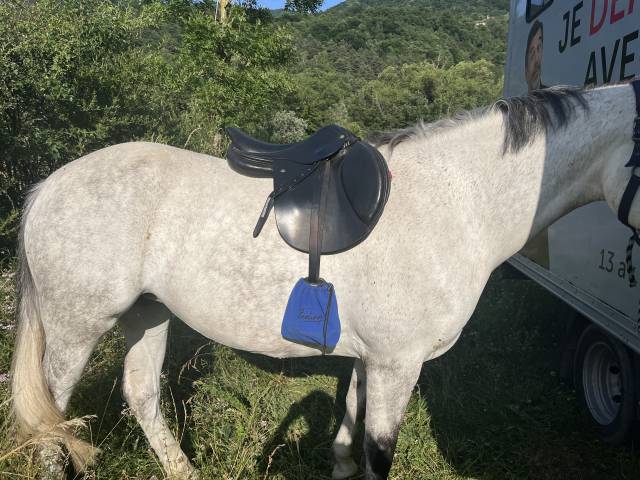 Selle CSO Éric Mondange