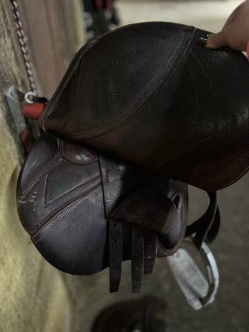 À vendre Selle 16,5 CWD