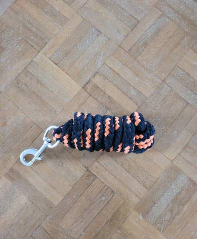 licole plus longe equitheme 