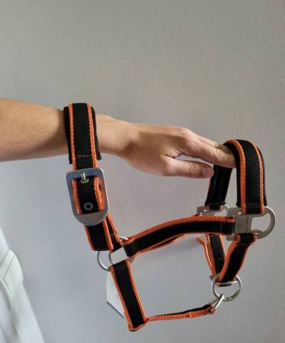 licole plus longe equitheme 