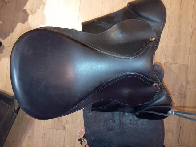 Selle mixte Eric thomas 17 "