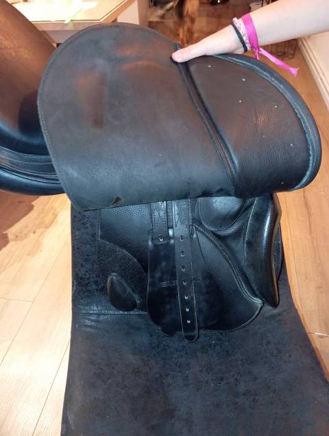 Selle mixte Eric thomas 17 "