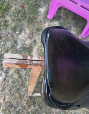 Selle mixte : Privilège équitation 