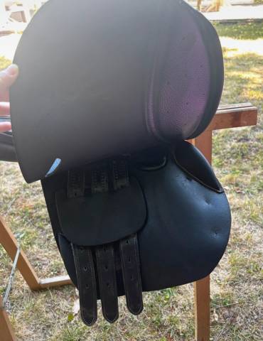 Selle mixte : Privilège équitation 