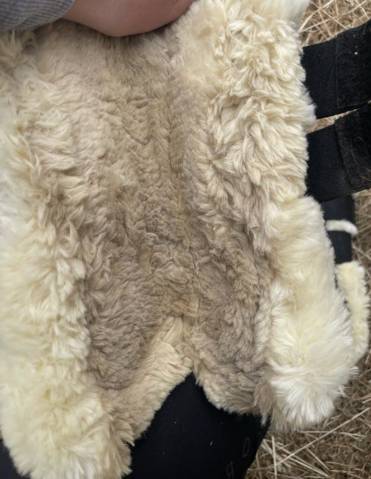 guêtres kentucky mouton