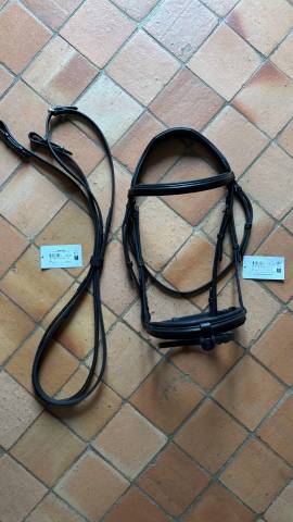 Filet et rênes taille cheval