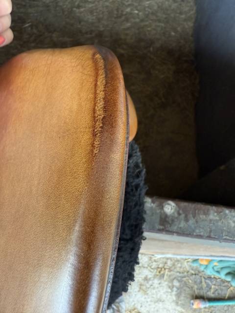 Selle Bruno Delgrange Partition 17.5