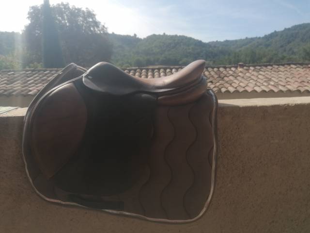 Selle Hervé godignon 