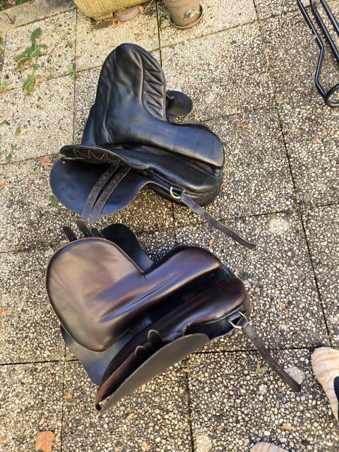 1 Lot de 2 selles amazones PHOENIX avec équipements 