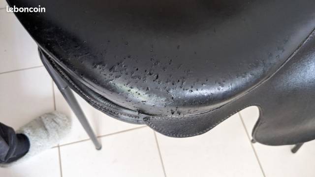 1 Lot de 2 selles amazones PHOENIX avec &eacute;quipements 