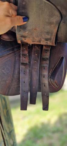 Selle CWD 16.5 marron obstacle