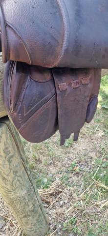 Selle CWD 16.5 marron obstacle