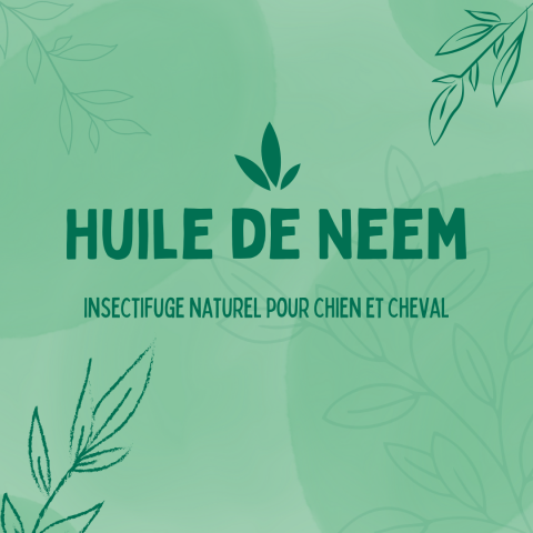 Spray Cheval au Neem - soin et insectifuge anti mouche