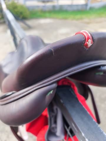  À VENDRE : Selle Équipe Évolution Spéciale – 17,5 pouc