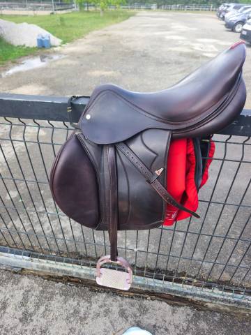  À VENDRE : Selle Équipe Évolution Spéciale – 17,5 pouc