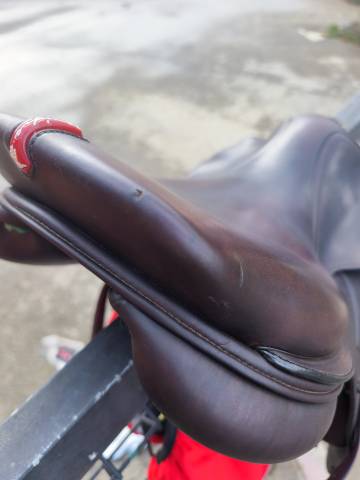  À VENDRE : Selle Équipe Évolution Spéciale – 17,5 pouc
