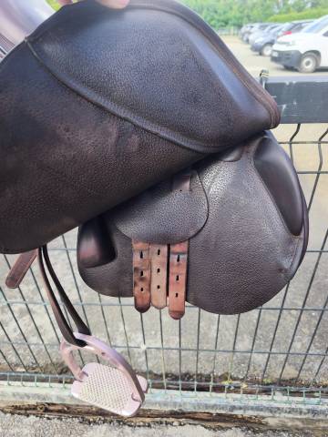  À VENDRE : Selle Équipe Évolution Spéciale – 17,5 pouc